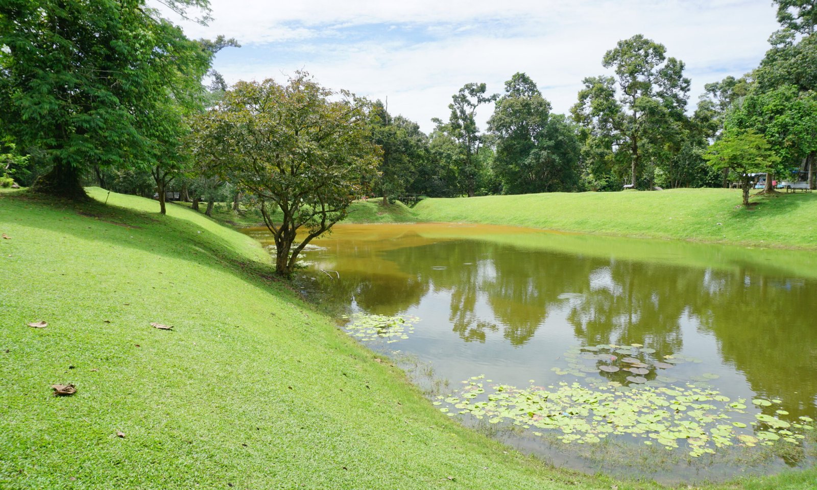 029 North-East View, Kolam Telagorajo, Muara Jambi, Sumatra